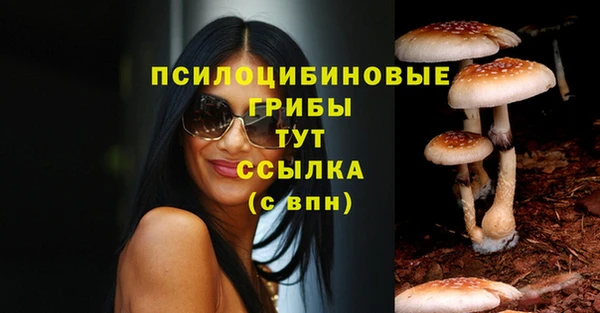 a pvp Абдулино