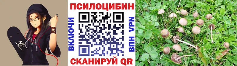 цена   Серпухов  Псилоцибиновые грибы прущие грибы 