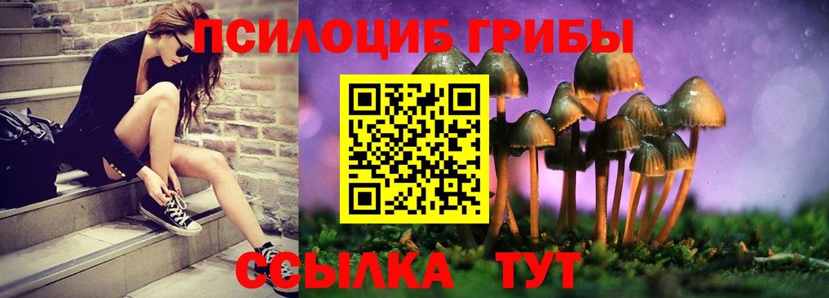 Псилоцибиновые грибы мухоморы  Вход с VPN  Псилоцибиновые грибы MAGIC MUSHROOMS  продажа наркотиков  Серпухов 